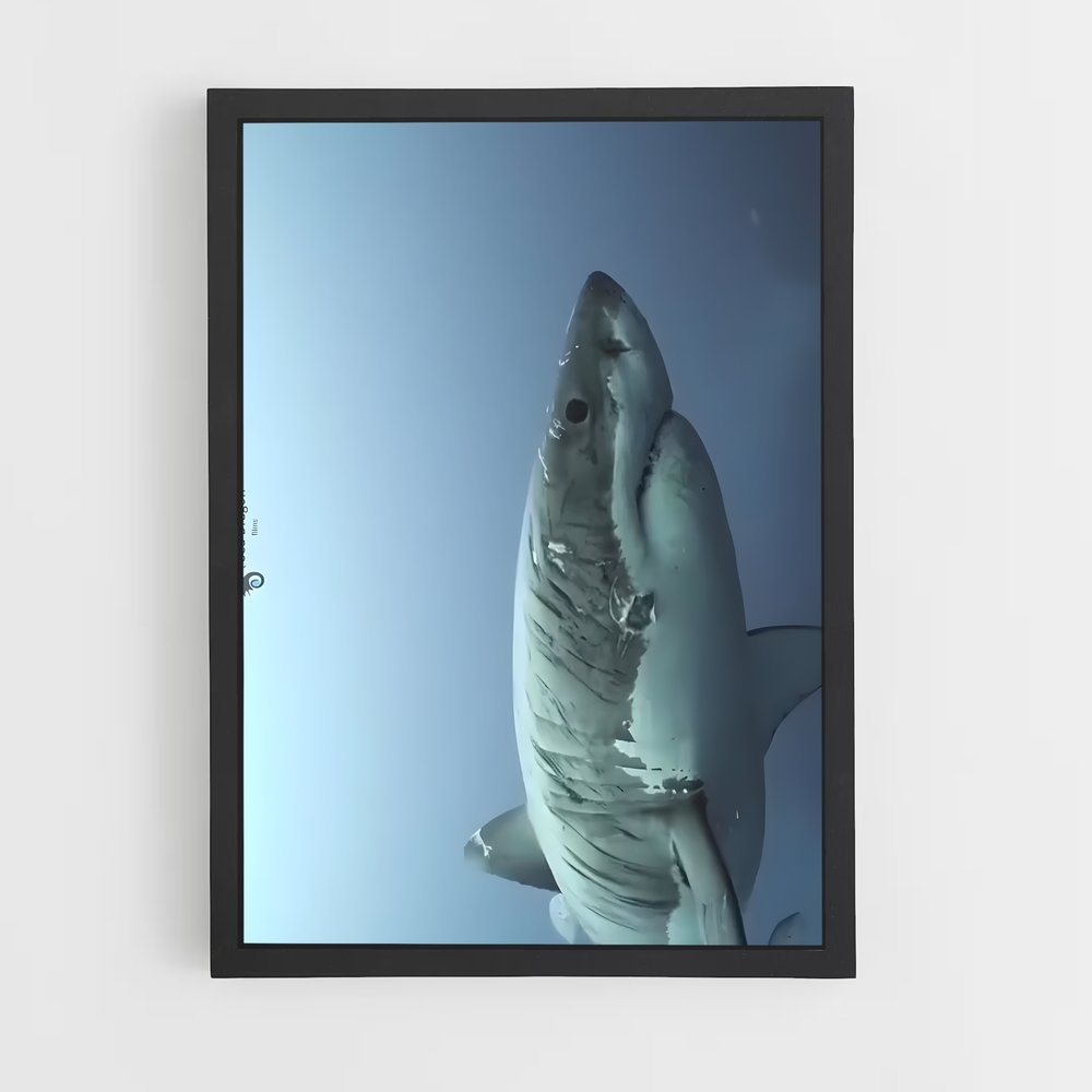 Poster Les Profondeurs Sauvages – affiche Plongée sous-marine (vue 2)
